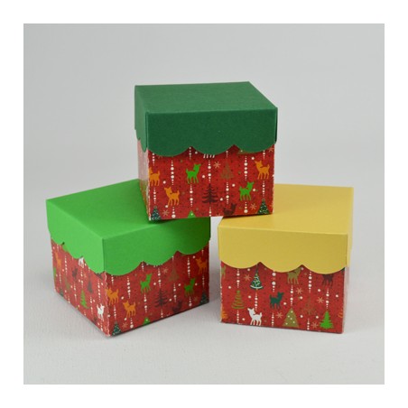 3 Duo Box Small "Christmas"
