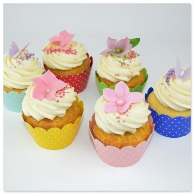 12 Cupcake Wrapper - Colors
