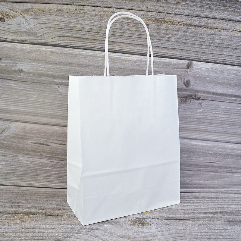 10 Paper Bags - White