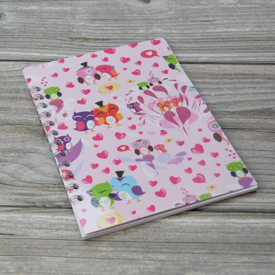 Notebook  - Owl Pink