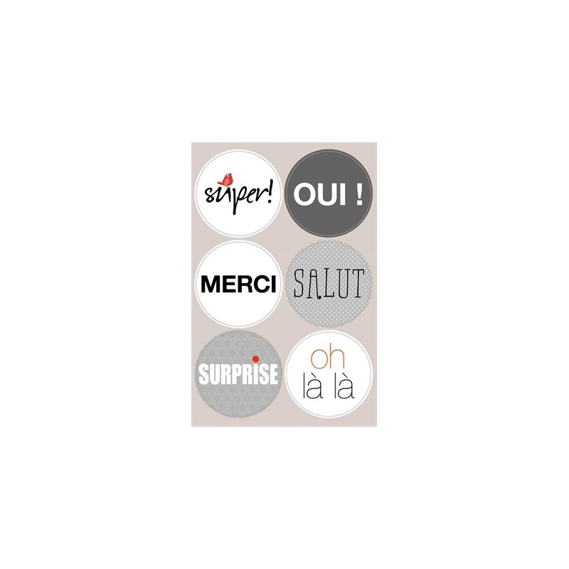 Stickers with French Slogans - Black