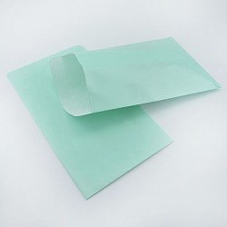 10 Paper Bags - Craft Colors